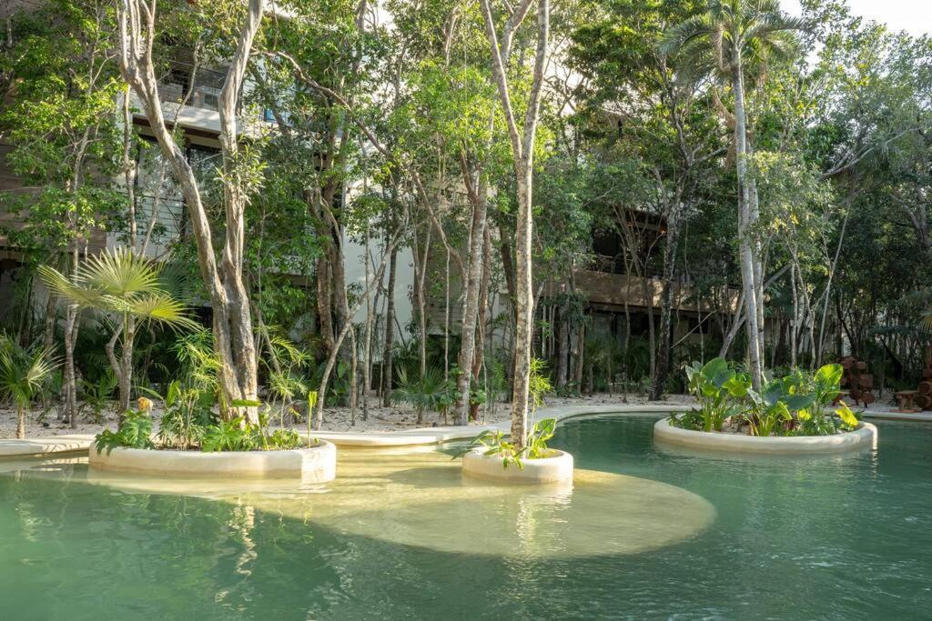 New 2 Bed And Bath - - Views To The Jungle
