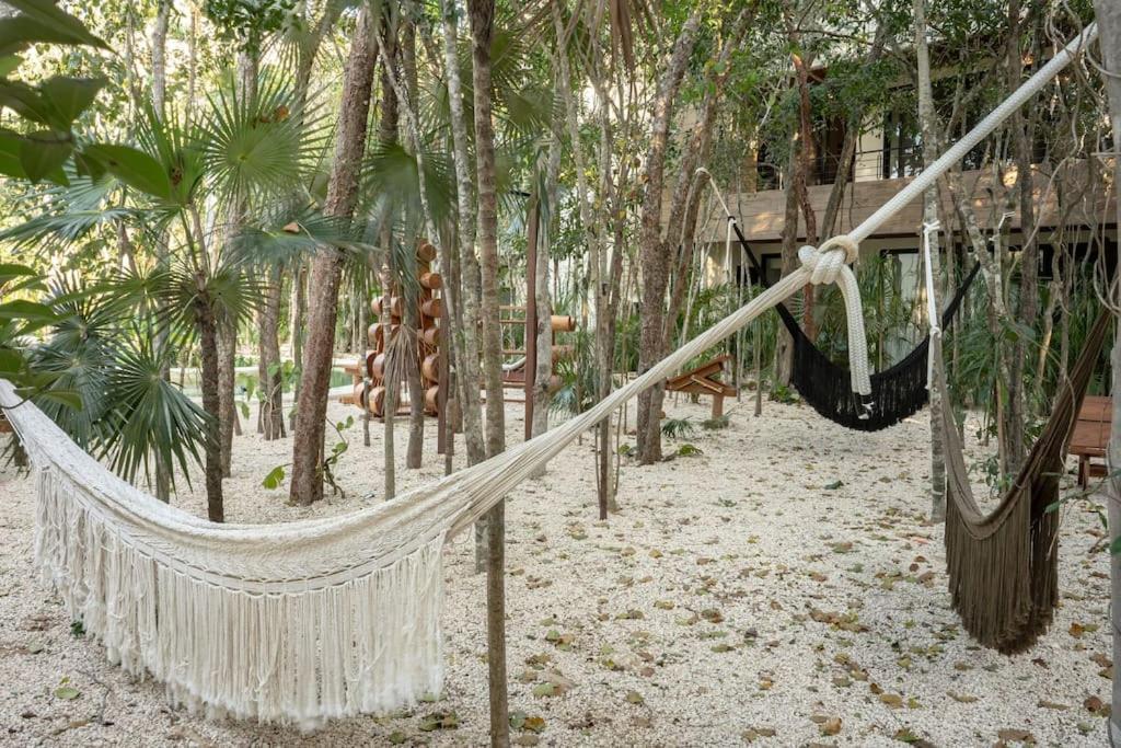 New 2 Bed And Bath - - Views To The Jungle Apartment *