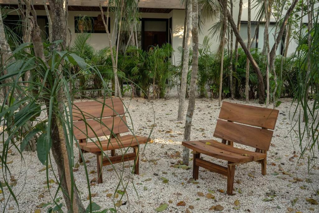 Apartment New 2 Bed And Bath - - Views To The Jungle *