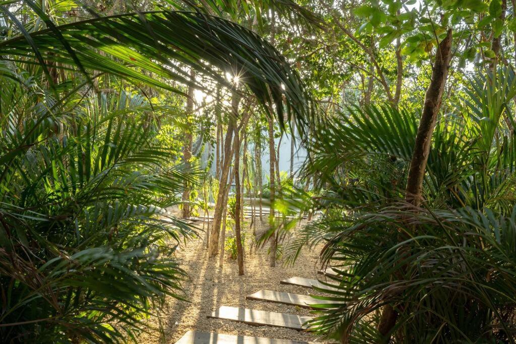New 2 Bed And Bath - - Views To The Jungle